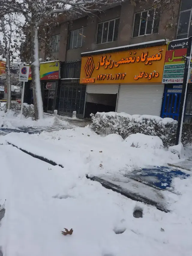 تعمیرگاه تخصصی رنوکار (داوود)