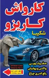 کارواش کاریزو
