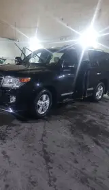 کارواش دلفین