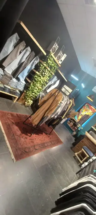 مزون دیما