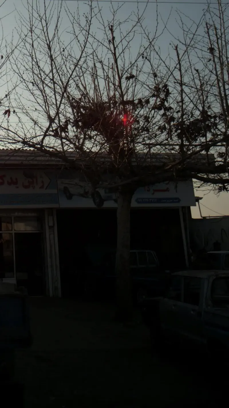 تعمیرگاه تخصصی مزدا