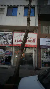 املاک لاهیج خزر