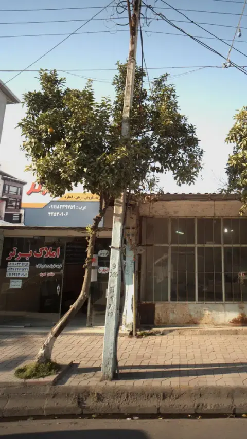 املاک برتر