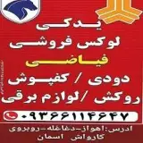 فیاضی