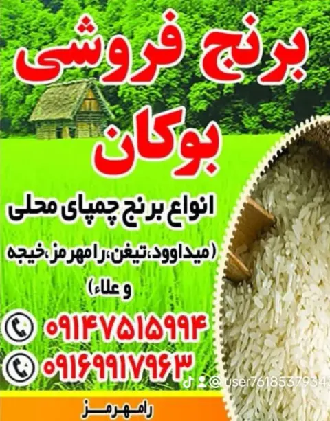 برنج فروشی محمدتقی بوکان چمپا میداوود
