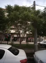 املاک عدالت
