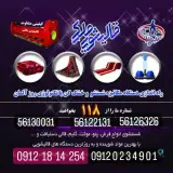 قالیشویی ومبل شویی ملکی (اصل)