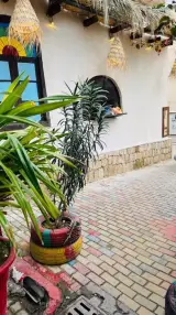 کافه سنتی چهار محل در بوشهر