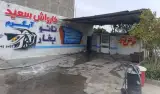 کارواش سعید