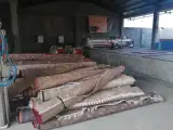قالیشویی انزان