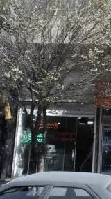 مسکن بهروز