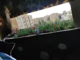 کافه پاکو