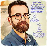 مشاور امور ملکی