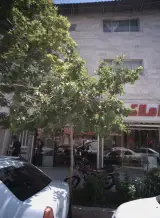 مشاور املاک مظاهر