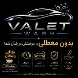 ولت واش