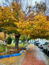 پارک راه آهن
