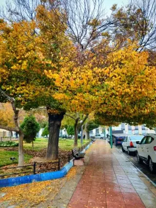 پارک راه آهن