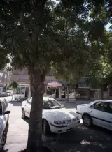 املاک مصلی