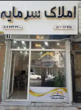 املاک سرمایه