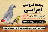 پرنده و دانه فروشی اجرائی