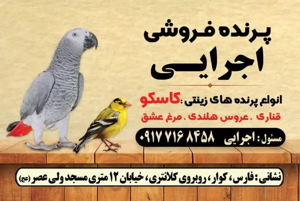 پرنده و دانه فروشی اجرائی