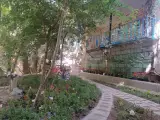 اقامتگاه چشم جهان