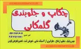 چکاپ و جلوبندی گلمکانی