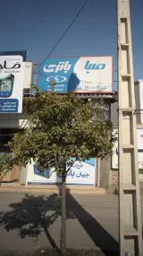 باتری سعیدی