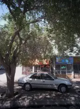 مشاورین املاک نیلی