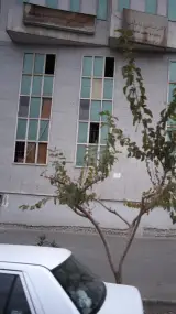 محمد عسگری