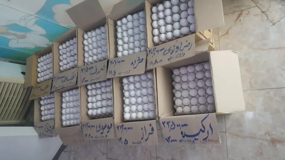 سوپرمارکت حسن