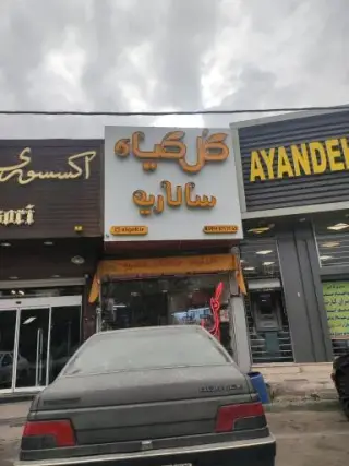 گل و گیاه سالاریه