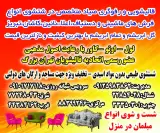 قالیشویی،مبل شویی صیاد