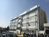 بیمه دی