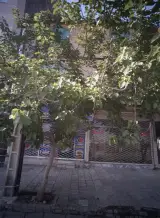 املاک احسان