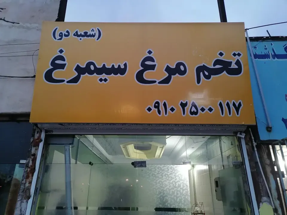 پخش تخم مرغ سیمرغ (شعبه 2)