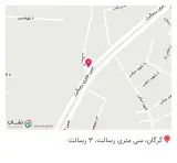 گروه صنعتی شاد