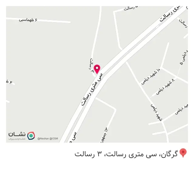 گروه صنعتی شاد