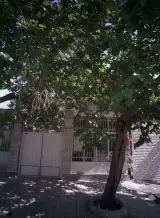 لابراتوار دندانسازی موسوی