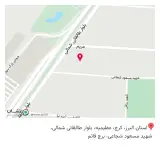 شرکت تجارت فولاد و آهن ایرانیان