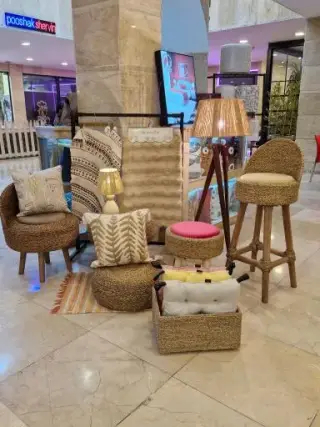نست گالری
