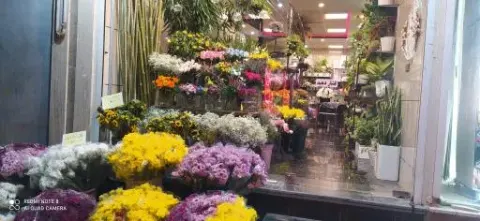 گلفروشی اوپال کرج