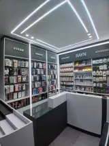 راین موبایل