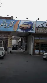 کارواش گل گندم