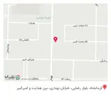 چاپ علوی