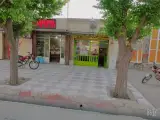 مشاور املاک کوچ سعید شادیانی