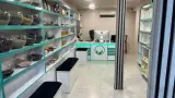 گیاهان دارویی حکیمان سبز