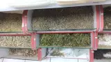 عطاری و خشکبار نیازی
