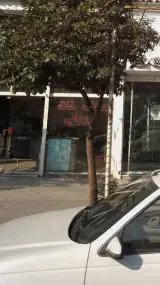 املاک خانه رویایی