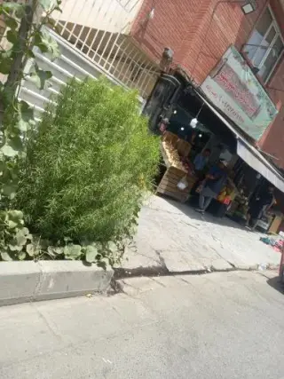 میوه فروشی مهرشهر